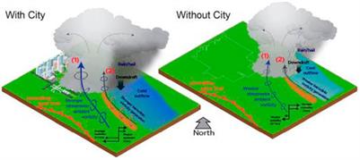 Editorial: Observation characteristics and formation mechanisms of severe weather events